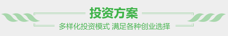 投資方案 多樣化投資模式 滿(mǎn)足各種創(chuàng)業(yè)選擇